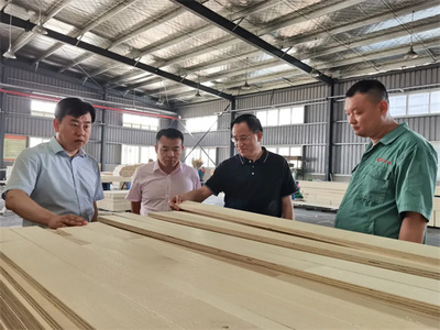 攜手共進(jìn)，共筑未來(lái)——熱烈歡迎中國(guó)木材保護(hù)工業(yè)協(xié)會(huì)會(huì)長(zhǎng)劉能文一行蒞臨福慶參觀考察指導(dǎo)
